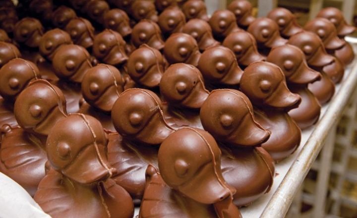 Chocolate Treats For Ducks
