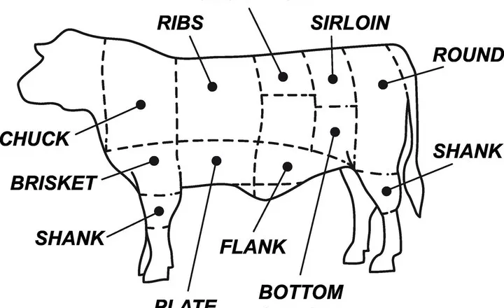 How Many Ribs Does A Cow Have
