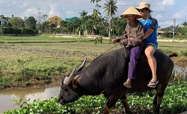 It’s Water Buffalo That Can Be Ridden