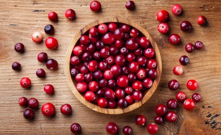 Can Ducks Eat Cranberries? 3 Ways to Feed