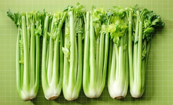 Nutritional Content of Celery