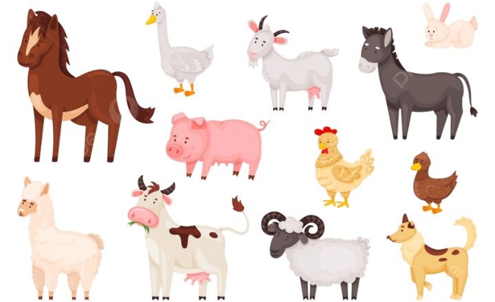 cattle, goats, sheep, alpaca, donkeys, horses, or pigs