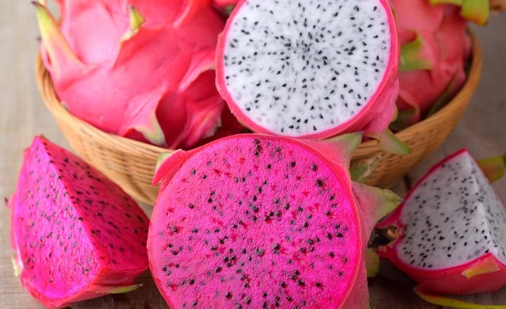 How to Grow Dragon Fruit from seeds