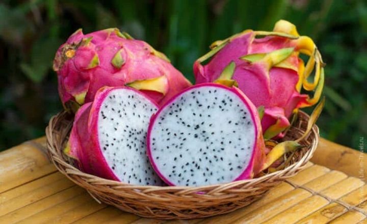 How to Grow Dragon Fruit