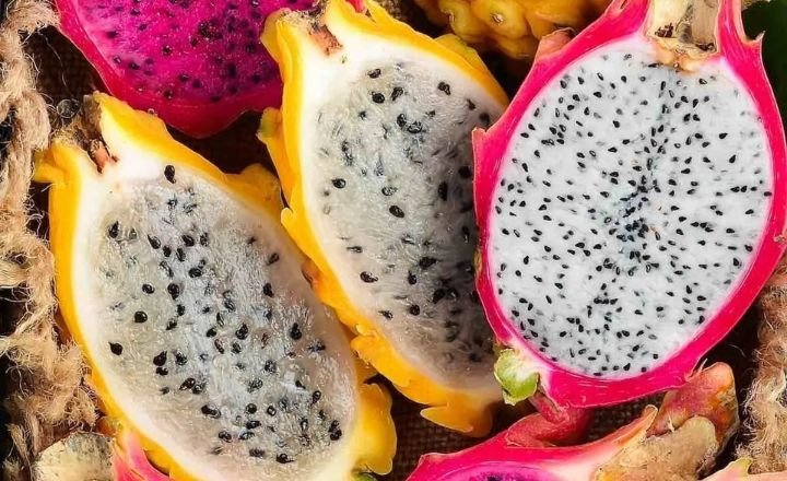 How to Grow Dragon Fruit