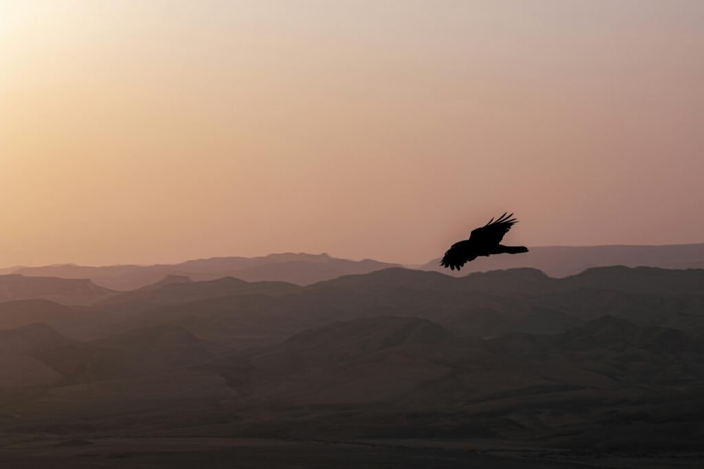 How High Can an Eagle Fly in the Wild